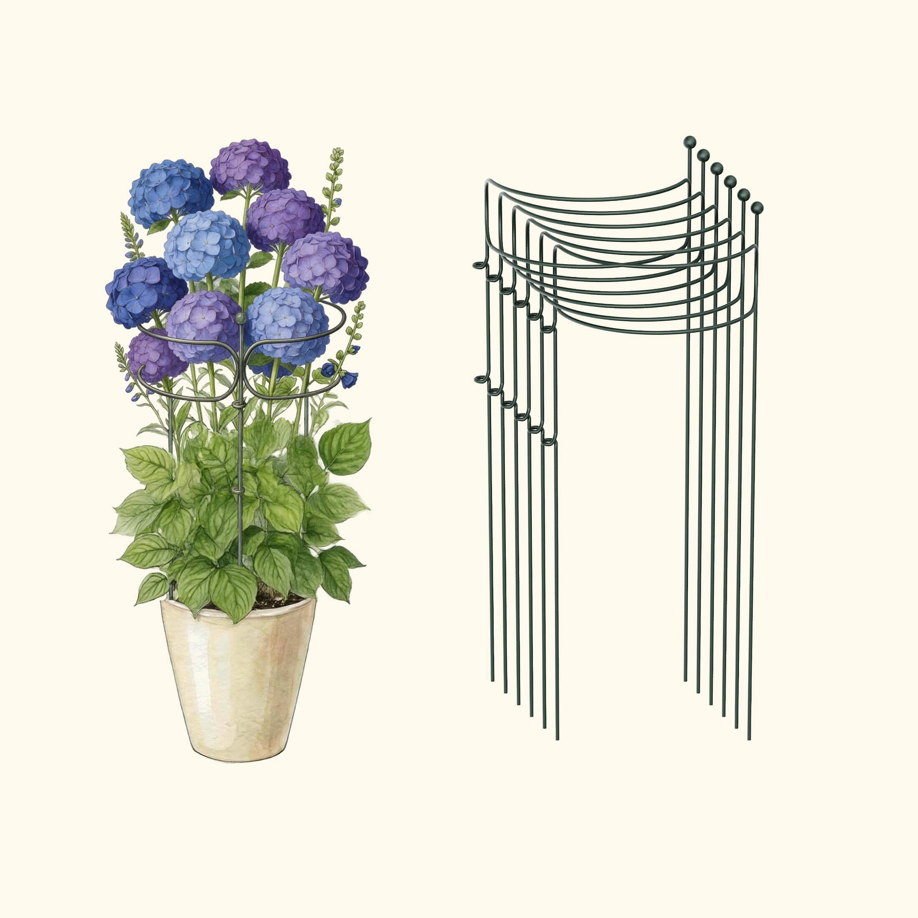 Curved Border Plant Support (6 Pack) | Vego Garden Bed Add-On