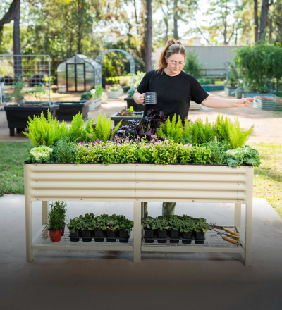 Elevated Garden Beds