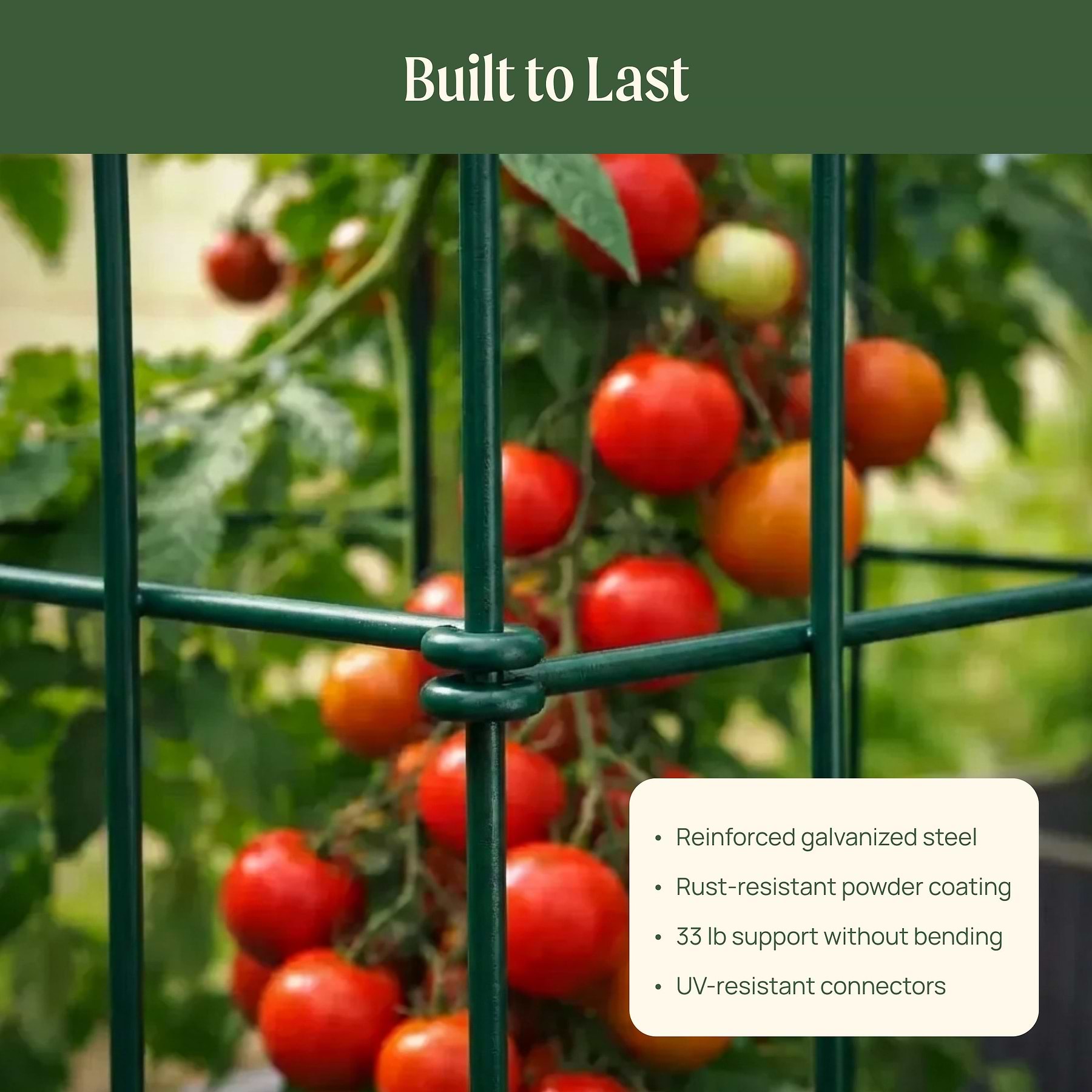 FlexGrow 3-Panel Tomato Cage - Expandable Steel Plant Support