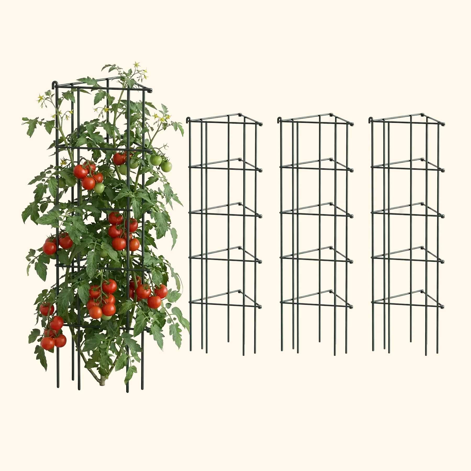 FlexGrow 3-Panel Tomato Cage - Expandable Steel Plant Support