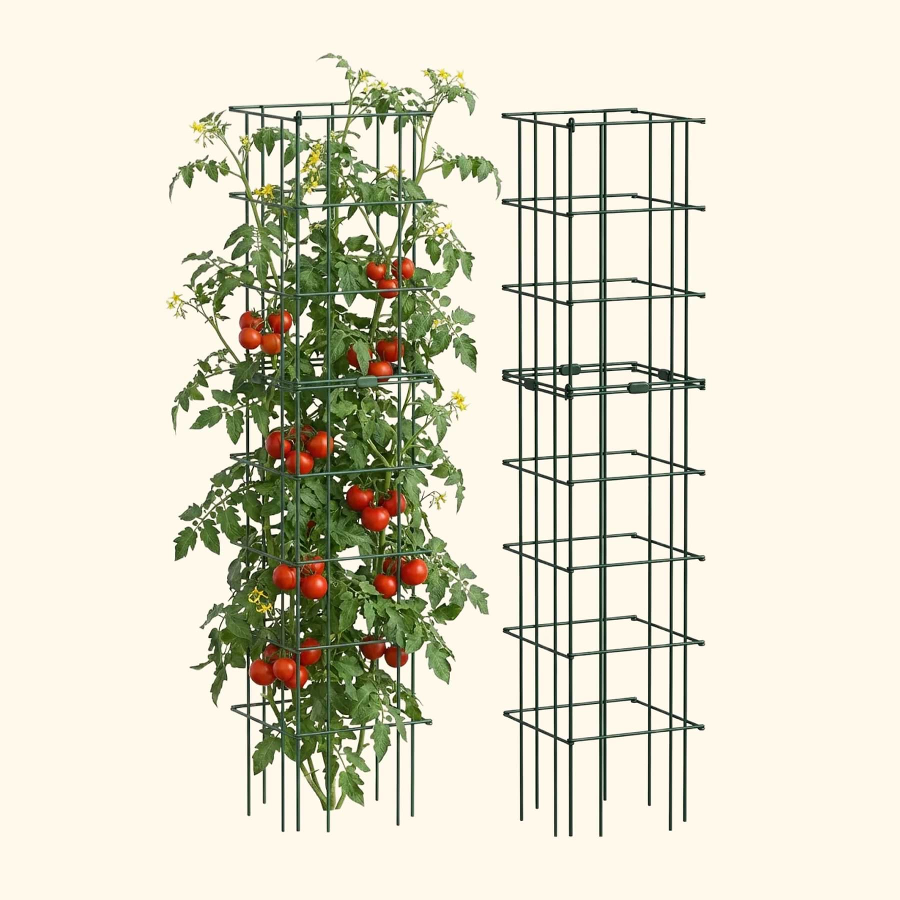 Heavy-Duty Square Tomato Cage | Vego Garden