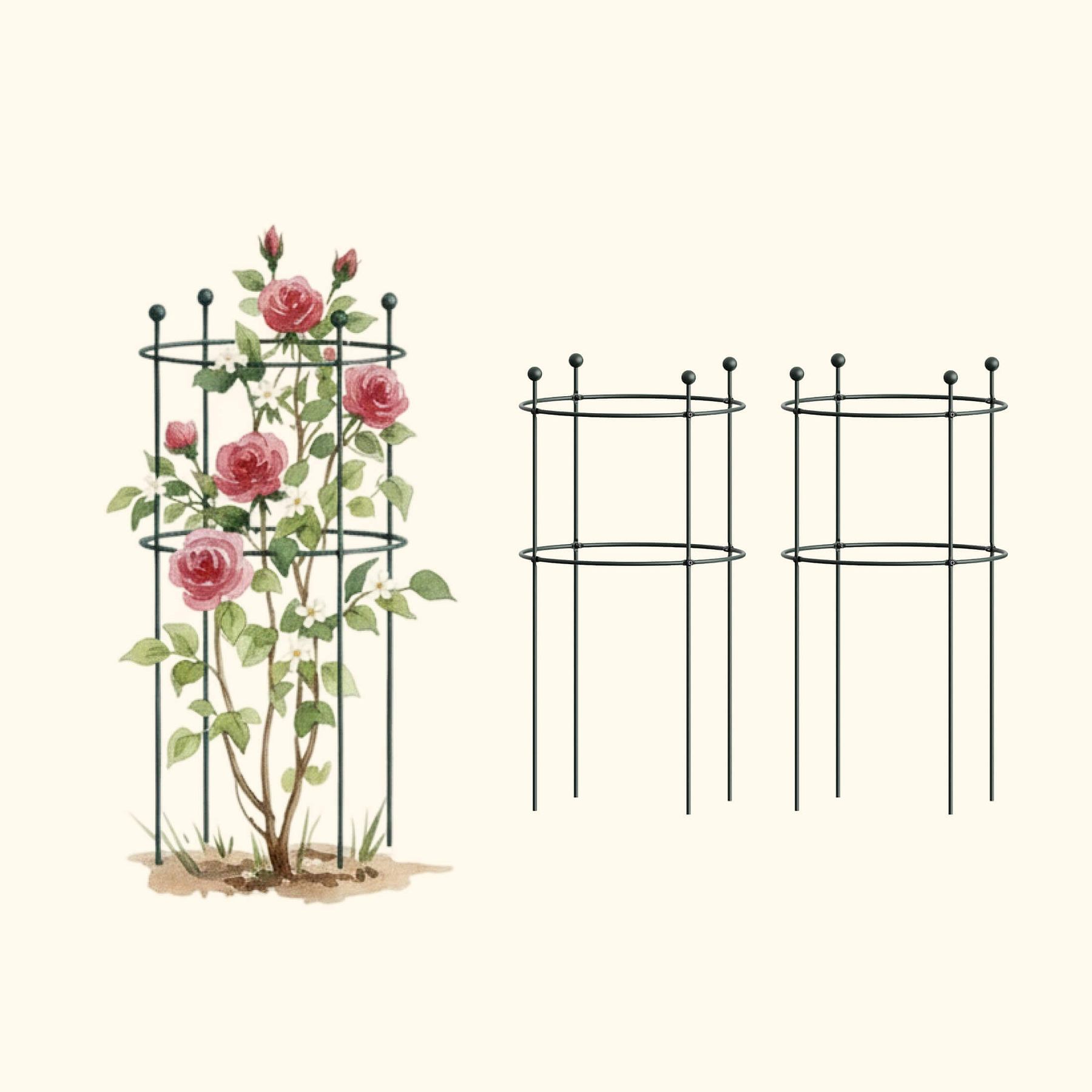Round Flower Cage (2 Pack) | Sturdy Support for Garden Blooms