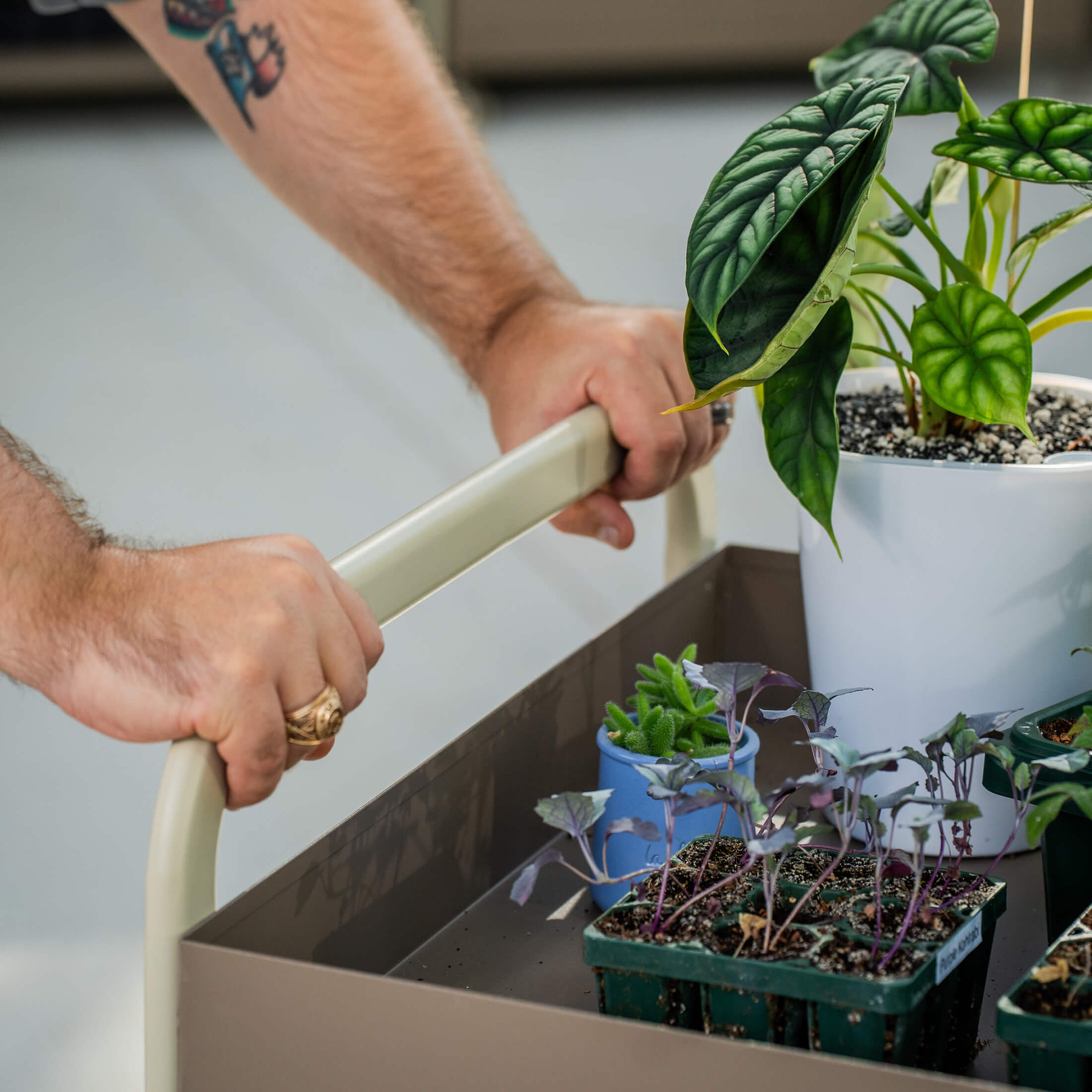 Garden Potting Cart | Mobile Potting Station & Plant Worktable
