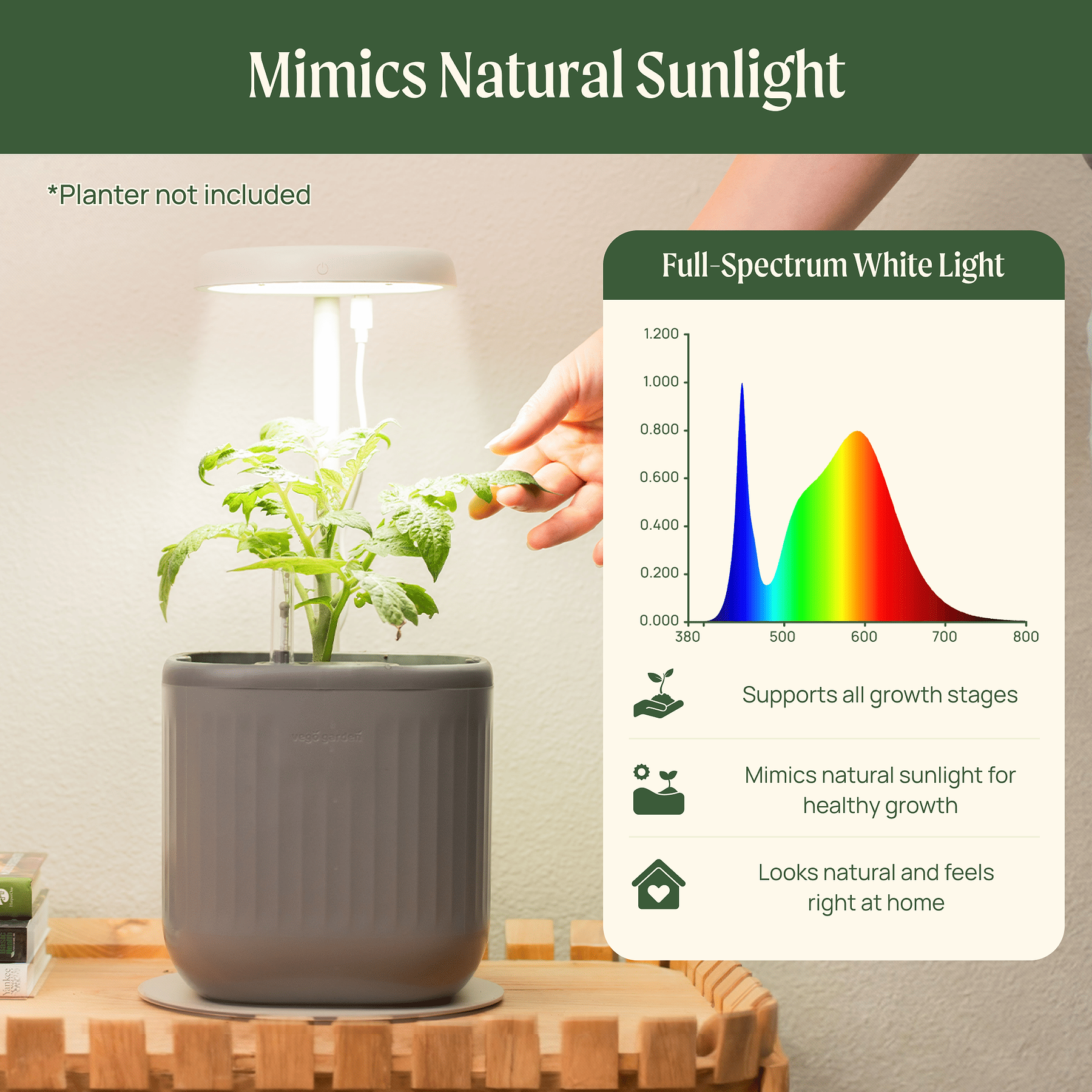 Mini Grow Light Stand for Seedlings & Herbs | Vego Garden