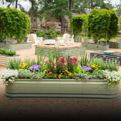 Novel Garden Beds, This link will open in a new tab