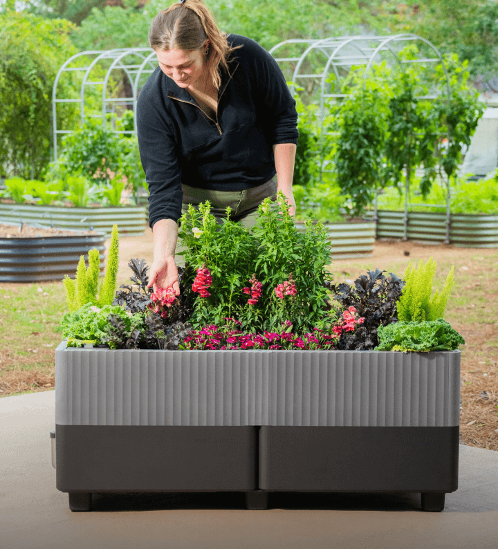 EZCube Planters