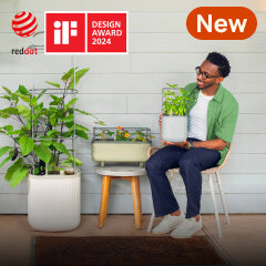 Planters, This link will open in a new tab