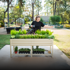 Elevated Garden Beds