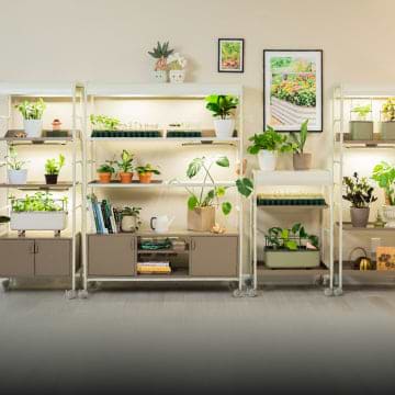 Indoor Gardening, This link will open in a new tab