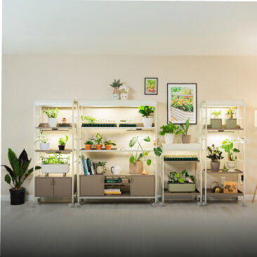 Indoor Gardening