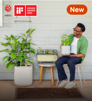 Planters, This link will open in a new tab