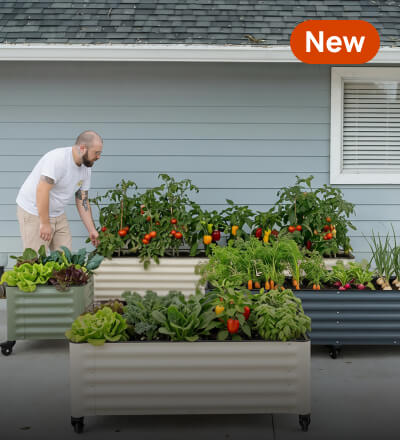 Rolling Garden Beds