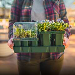 Seedling Trays, This link will open in a new tab