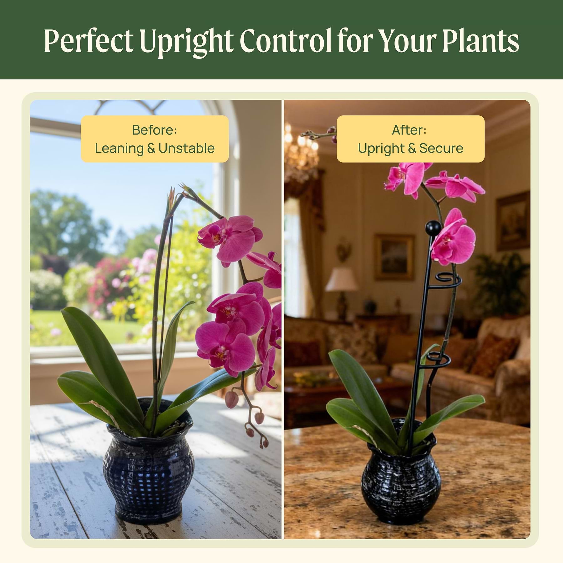 Loop Support Plant Single Stem Plant Support Loop (3 Pack) | Durable Vego Garden