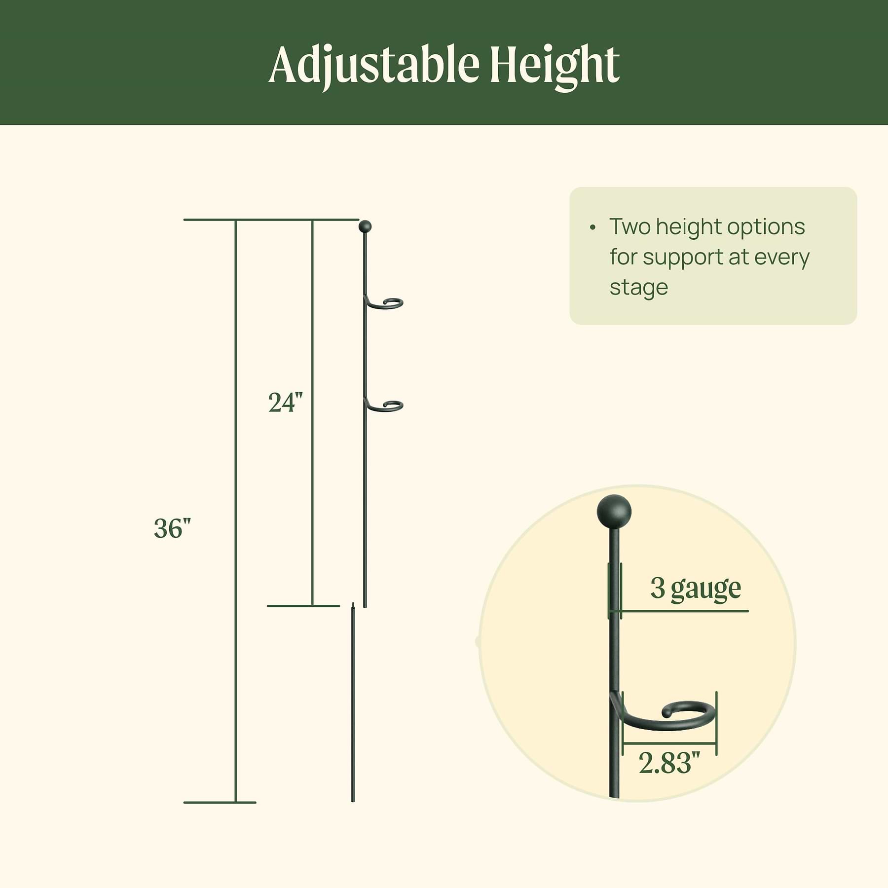 Loop Support Plant Single Stem Plant Support Loop (3 Pack) | Durable Vego Garden