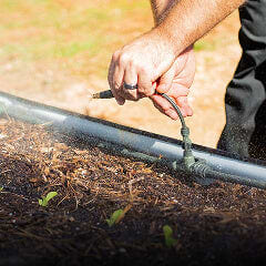 Watering, This link will open in a new tab