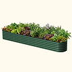 British Green
