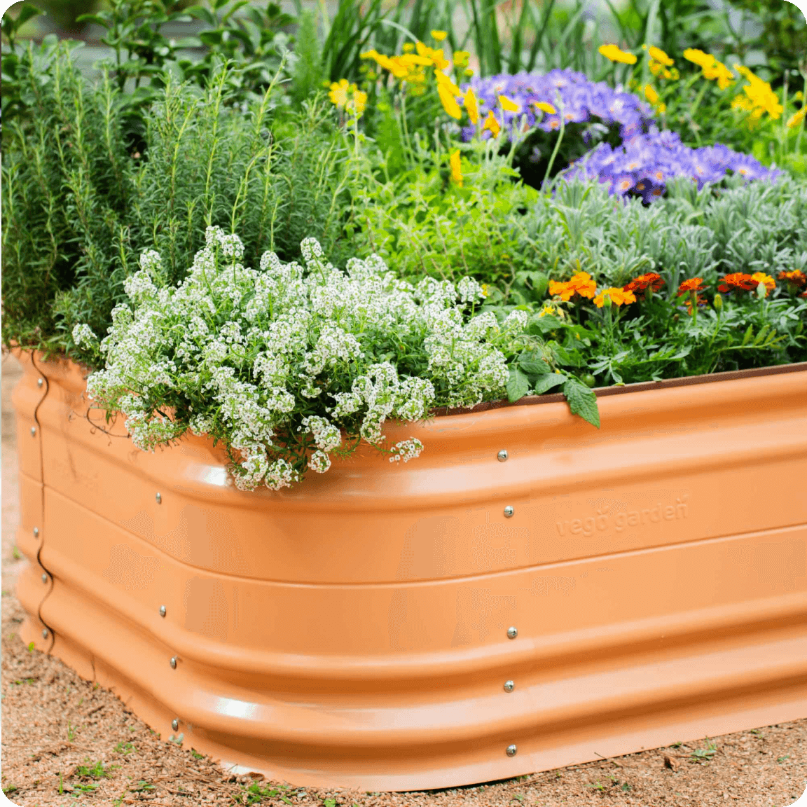 Vego garden beds