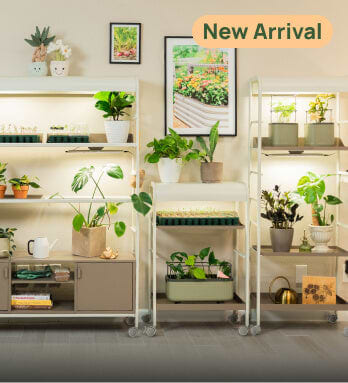 Indoor Gardening
