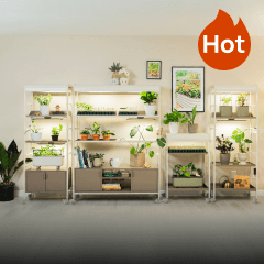 Indoor Gardening, This link will open in a new tab