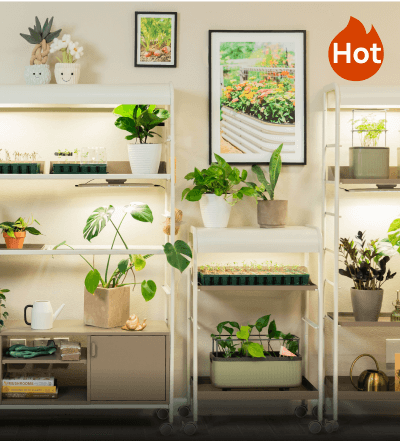 Indoor Gardening, This link will open in a new tab