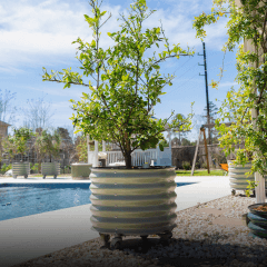 Metal Tree Planters, This link will open in a new tab
