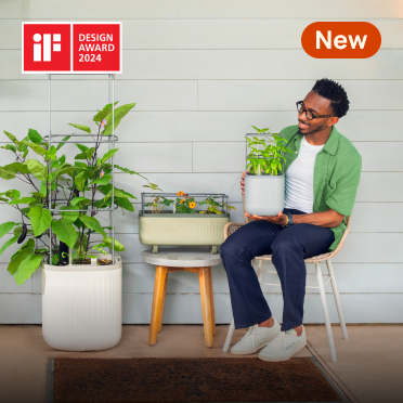 Planters, This link will open in a new tab