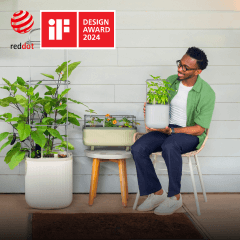 Planters, This link will open in a new tab