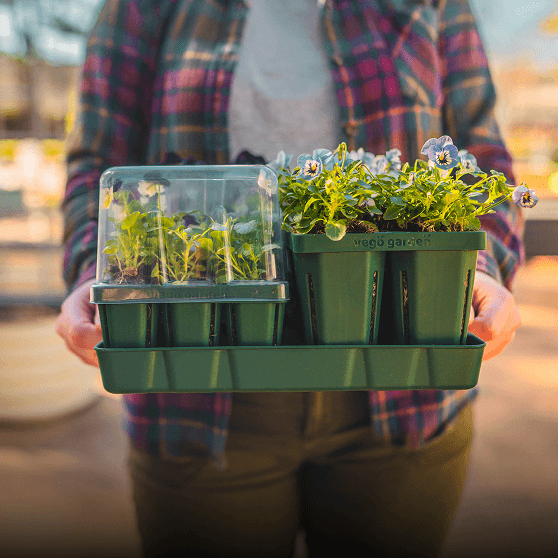 Seedling Trays, This link will open in a new tab