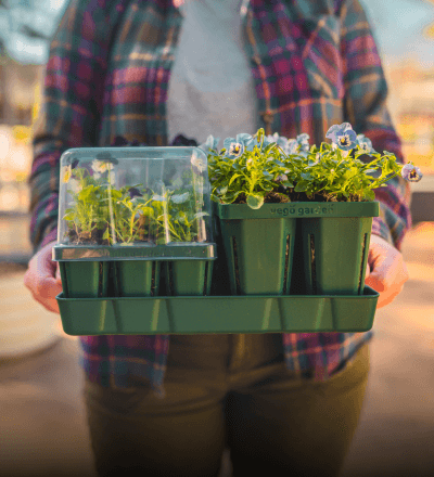 Seedling Trays, This link will open in a new tab