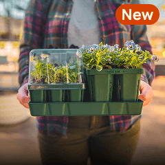 Seedling Trays, This link will open in a new tab