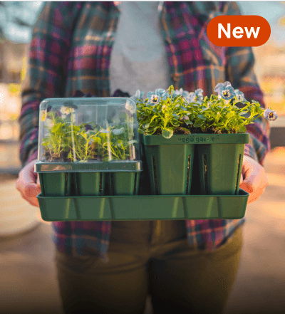 Seedling Trays, This link will open in a new tab