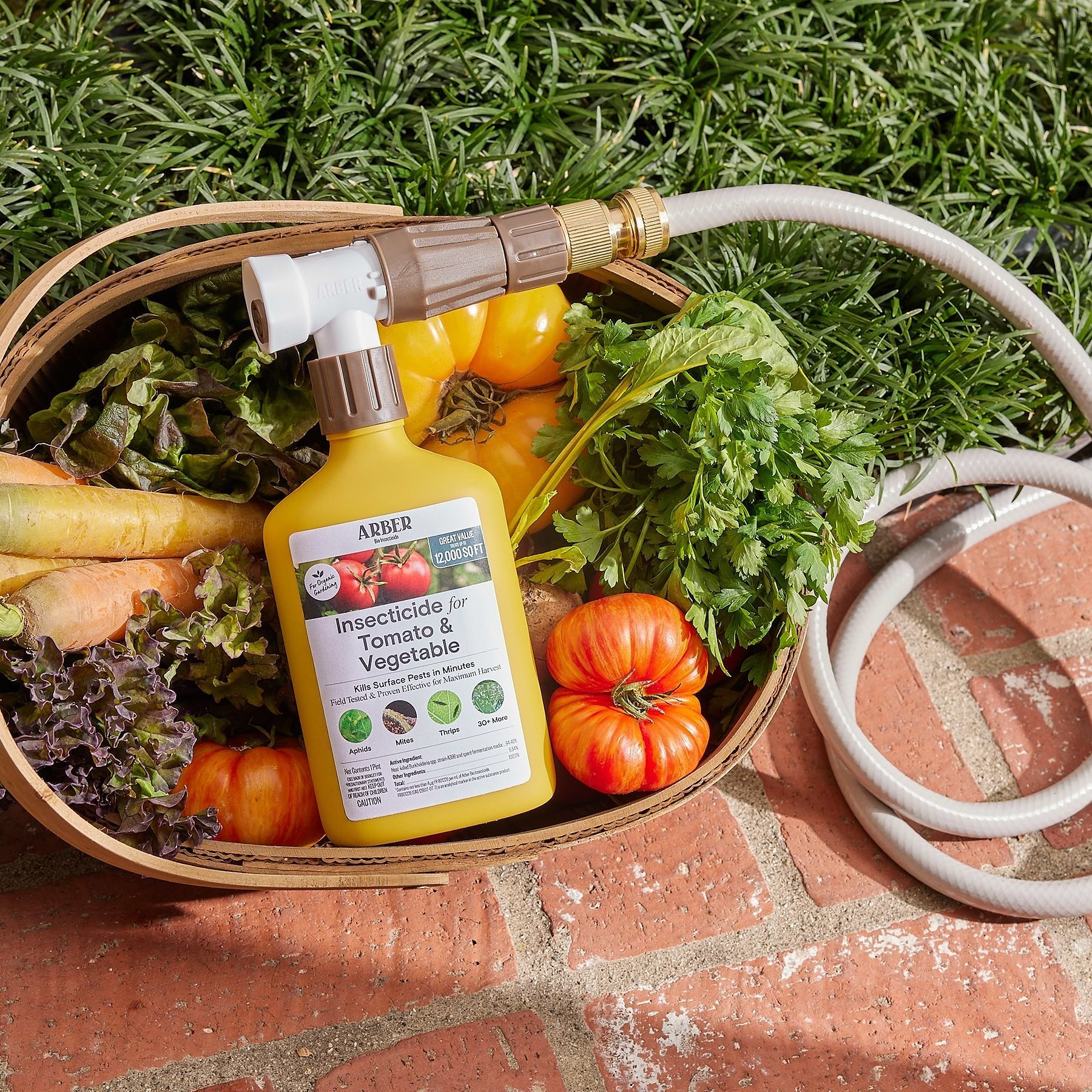 Organic Insecticide for Tomato & Vegetable