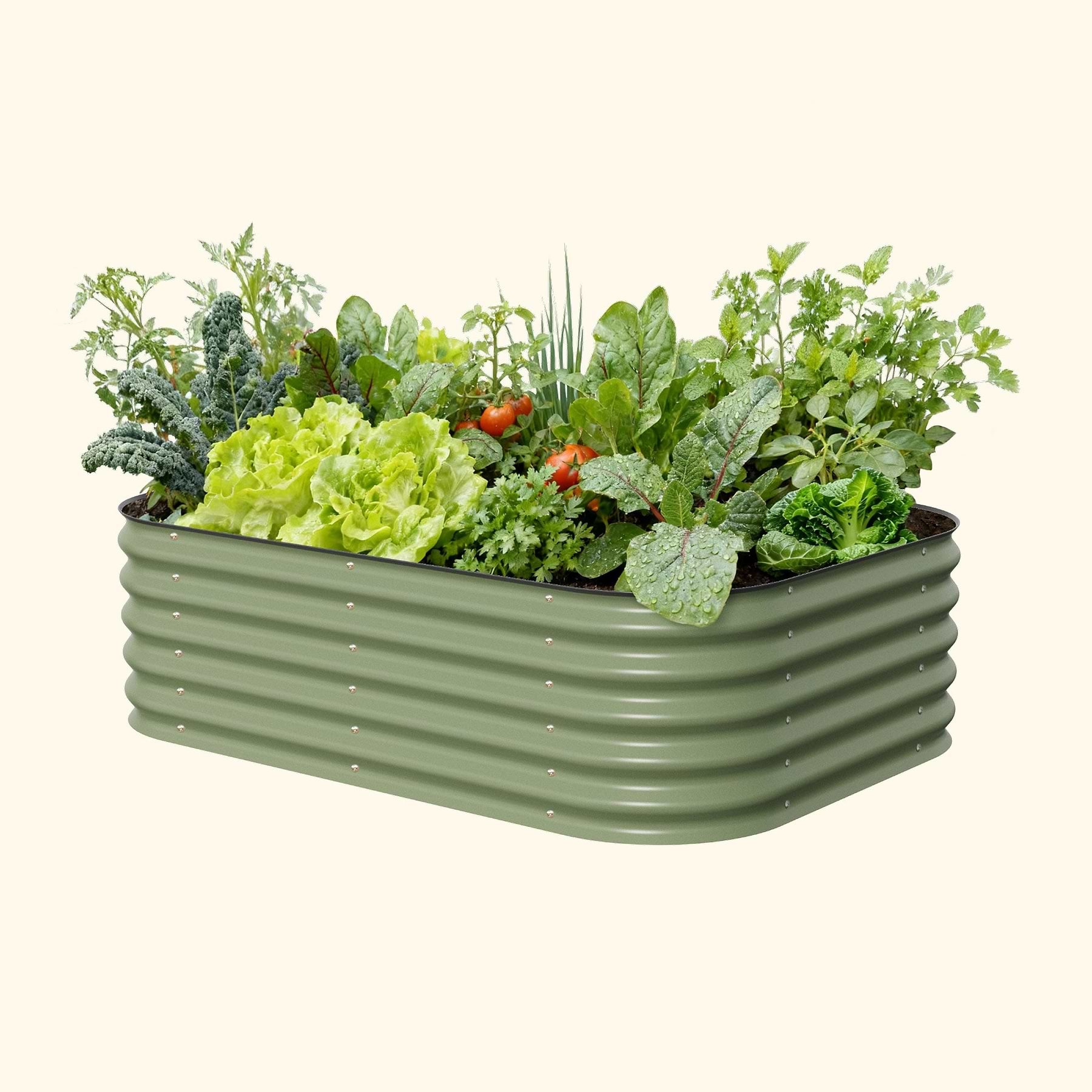 6 ft. x 3 ft. x 2 ft. Galvanized Steel Raised Garden Bed