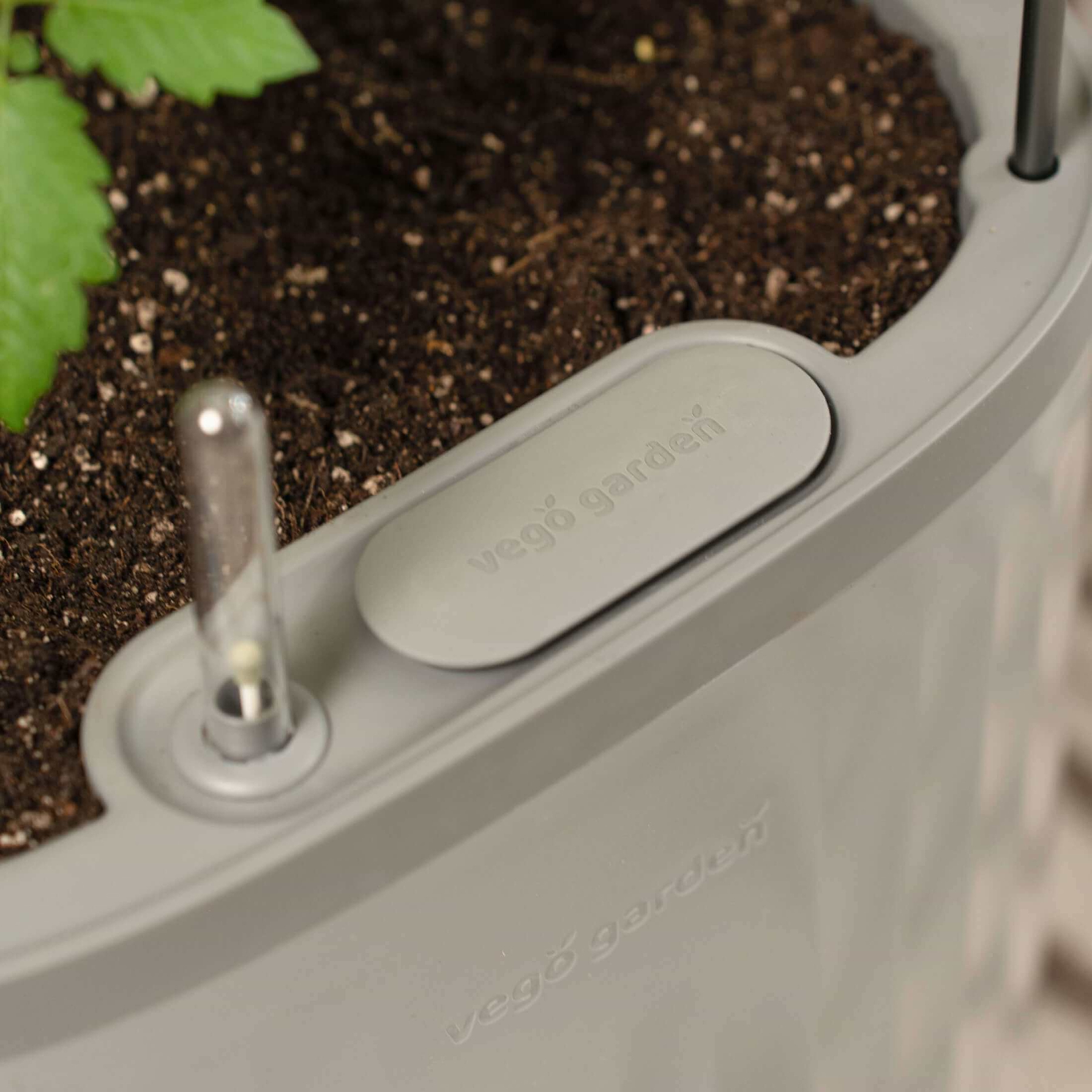 SelfWatering Rolling Tomato Planter with TrellisVego Garden