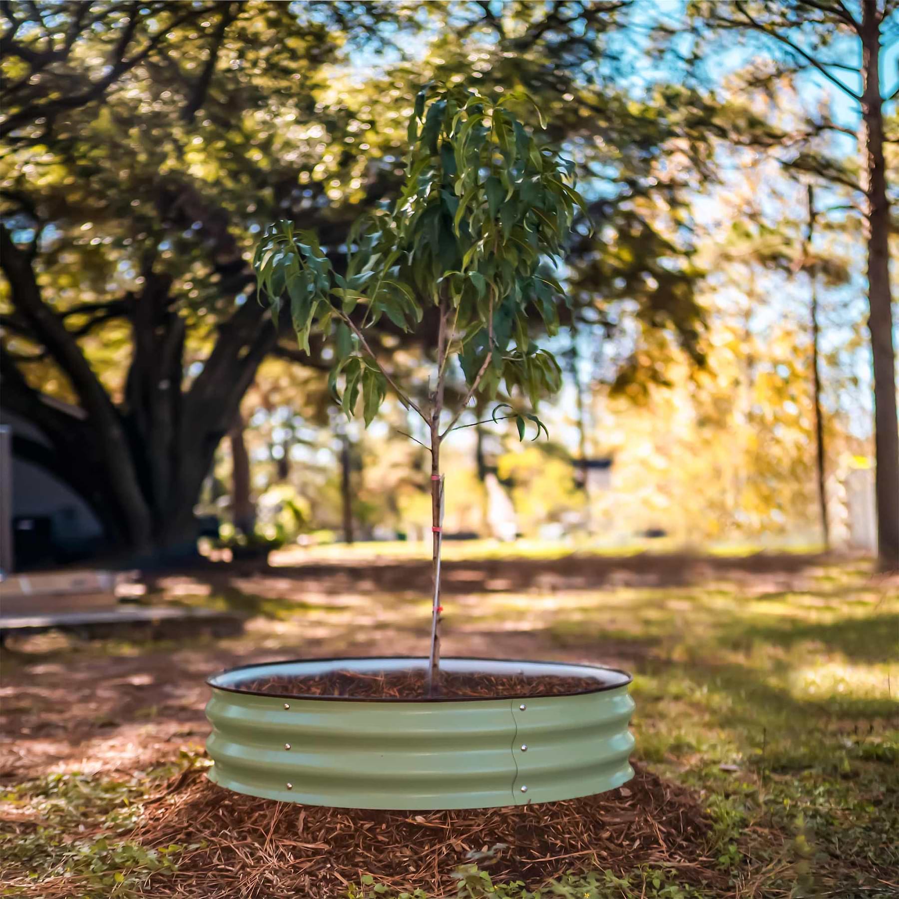 24 Inch Tree Rings Tree Surround & Watering Ring Kit