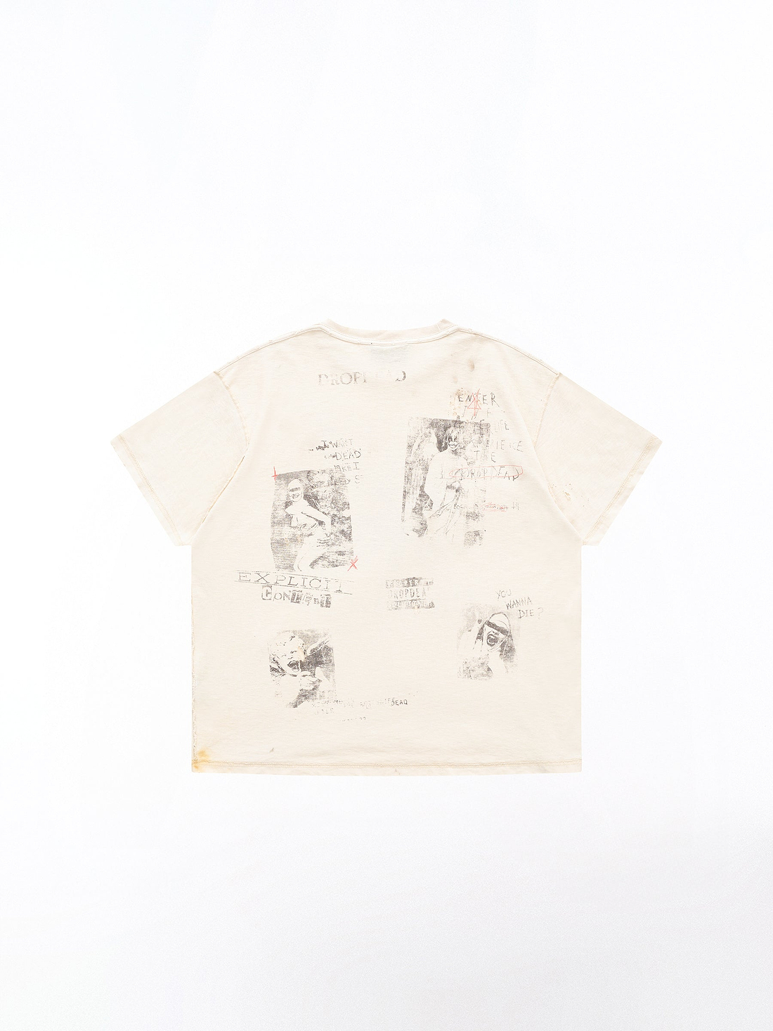 Sacred Insanity Boxy T-Shirt
