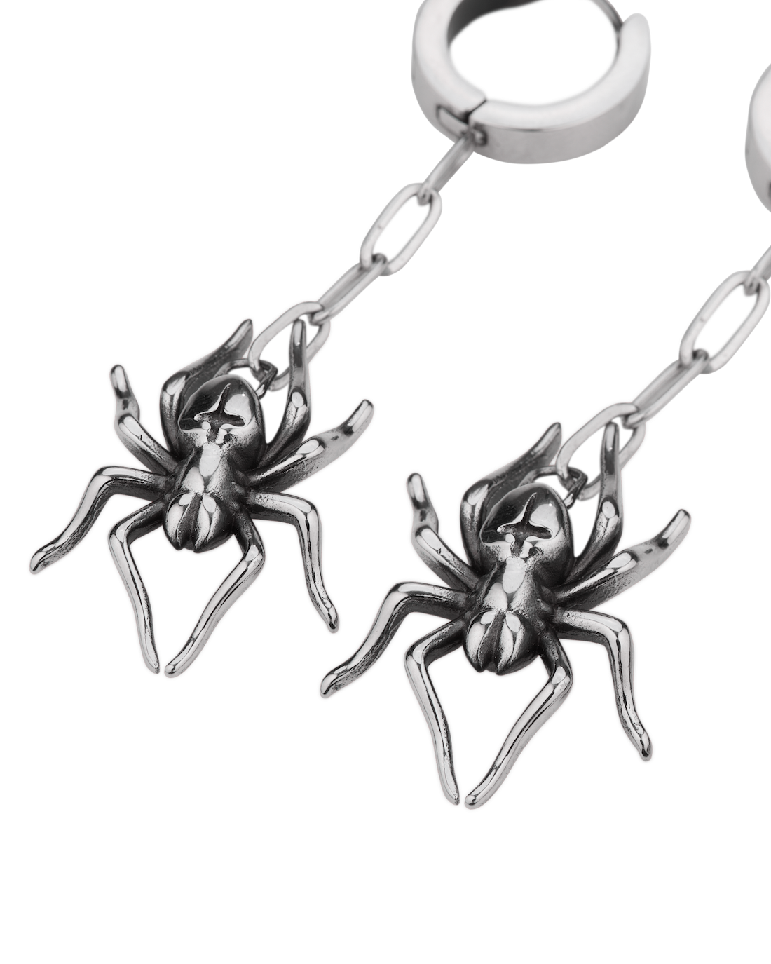 Species Earrings