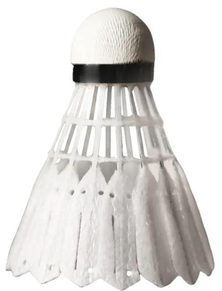 Victor New Carbonsonic PRO NCS Badminton Shuttles / Shuttlecocks