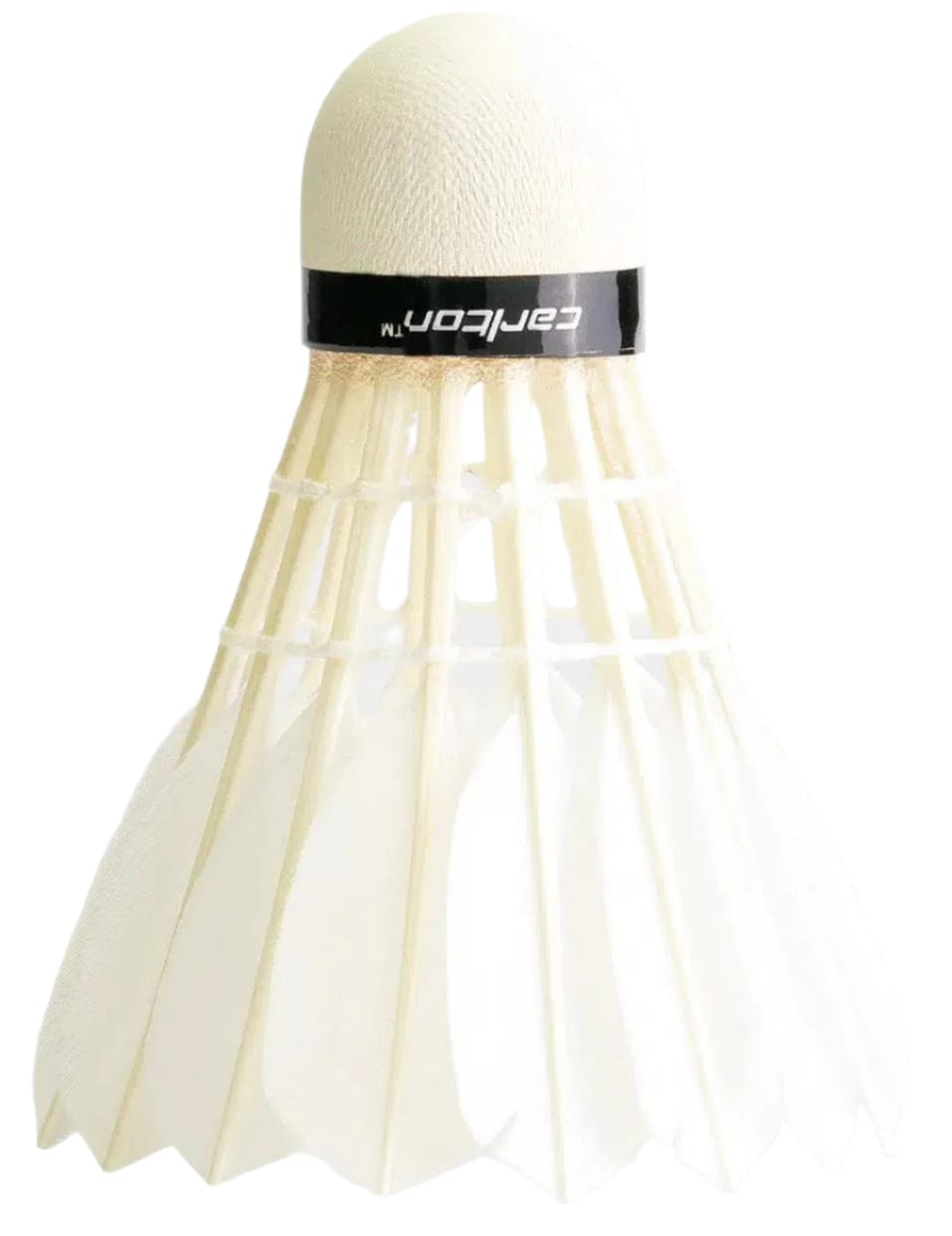 A close-up of a Carlton GT1 Badminton Feather Shuttlecock, featuring a black band around its base, set against a plain light background. Set of 12 by Carlton.