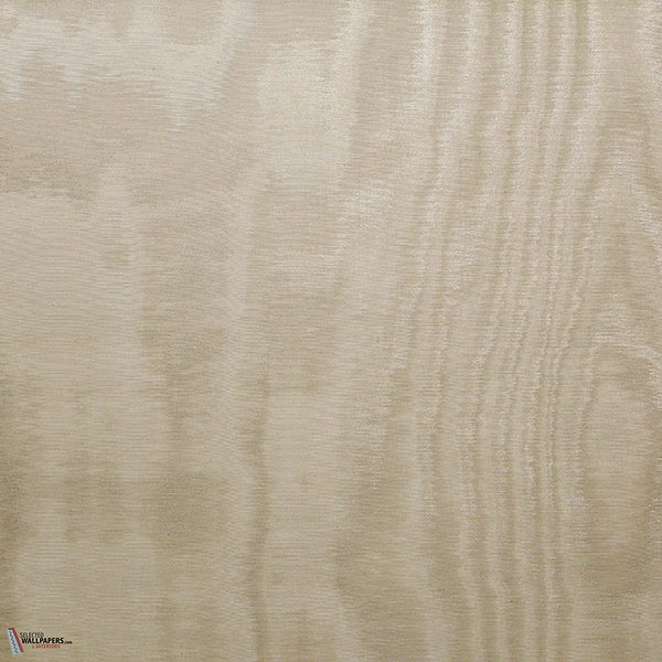 Amoir Libre Metallo Wall behang-Dedar-Poudre-Meter (M1)-Selected Wallpapers-Interiors