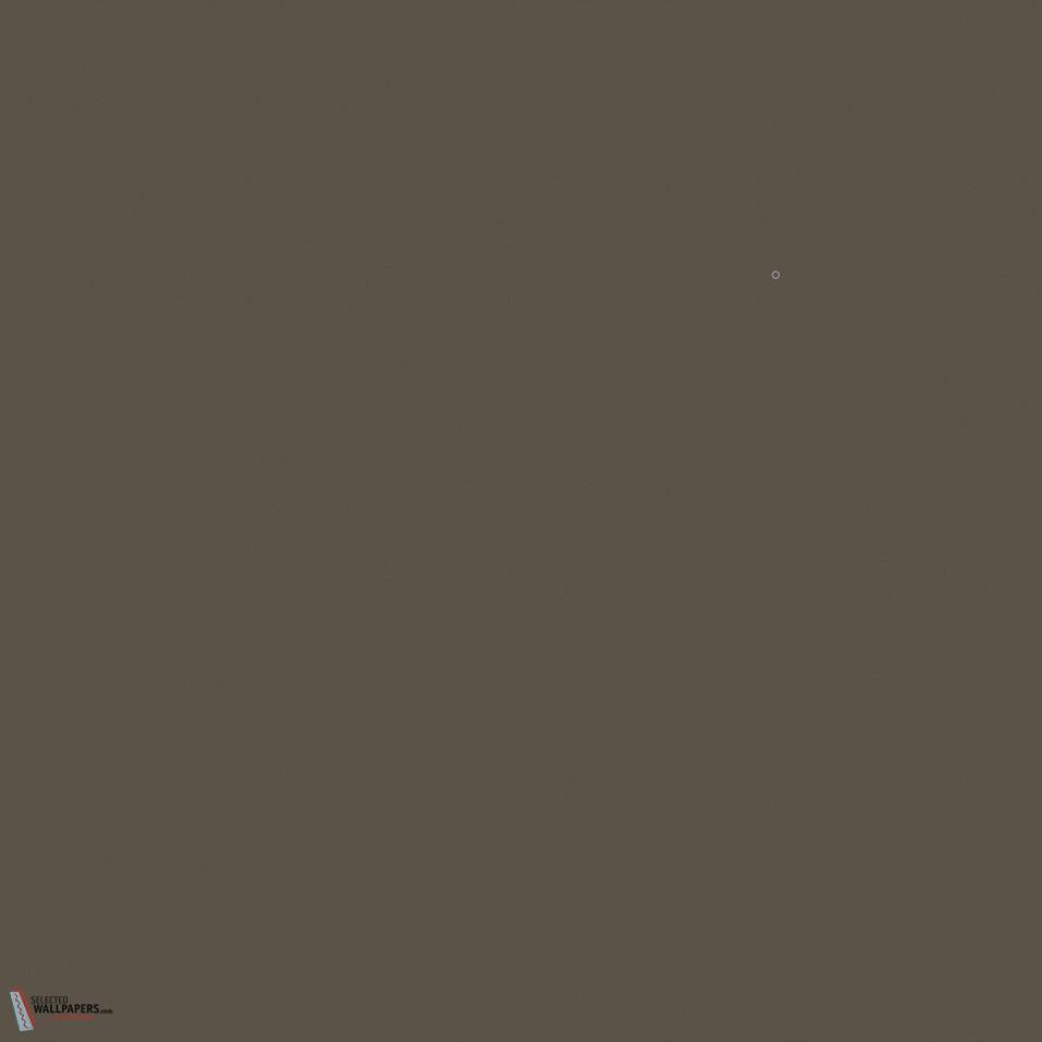 Attic II verf Little Greene 144-Selected-Wallpapers-Interiors