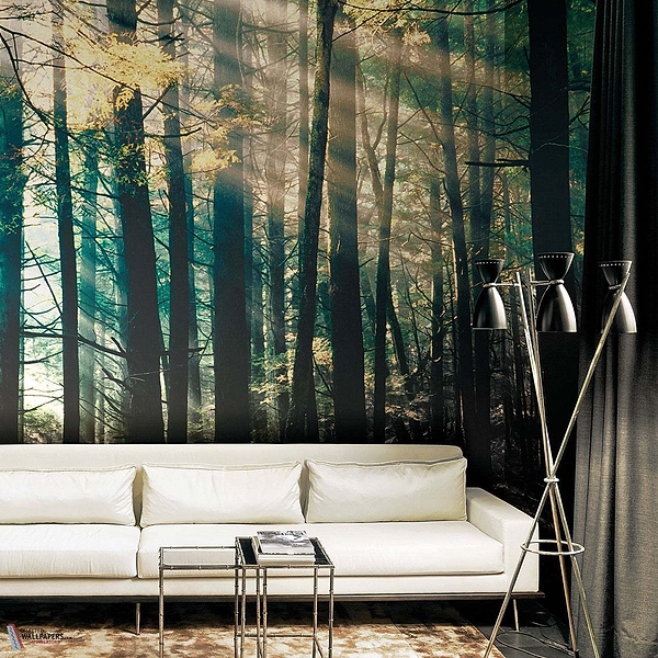 Canadian Forest behang-LondonArt-wallpaper-tapete-Selected-Wallpapers-Interiors