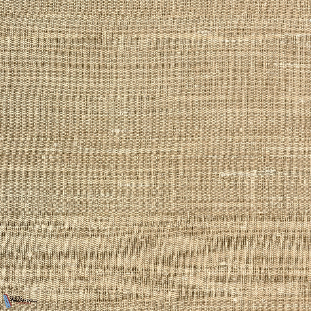 Chandra-Vescom-55-Meter (M1)-Selected-Wallpapers-Interiors