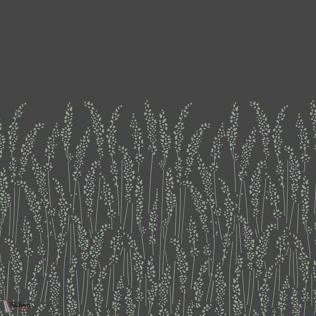 Feather Grass-Behang-Tapete-Farrow & Ball-Off Black-Rol-BP5106-Selected Wallpapers