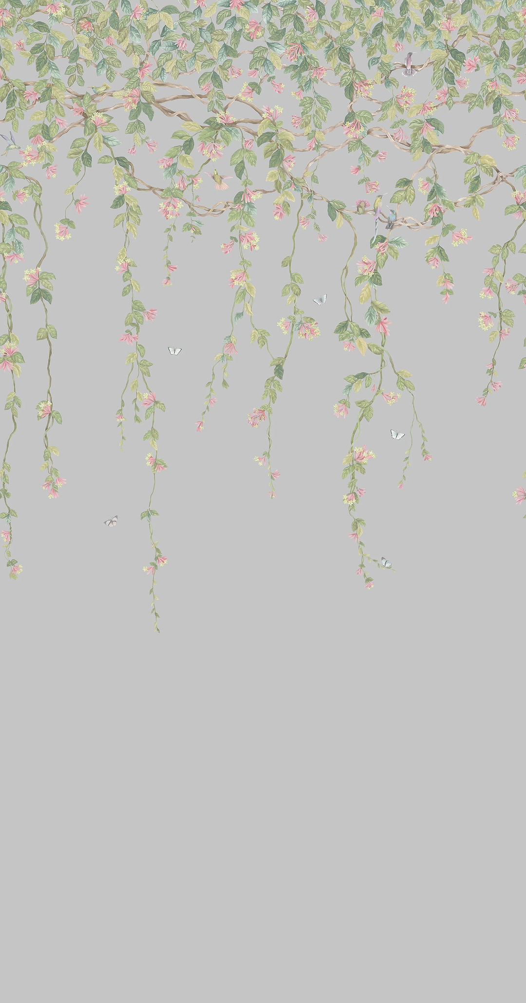 Hummingbirds Flora-Cole & Son-Rose & Olive on Grey-Set-Selected-Wallpapers-Interiors