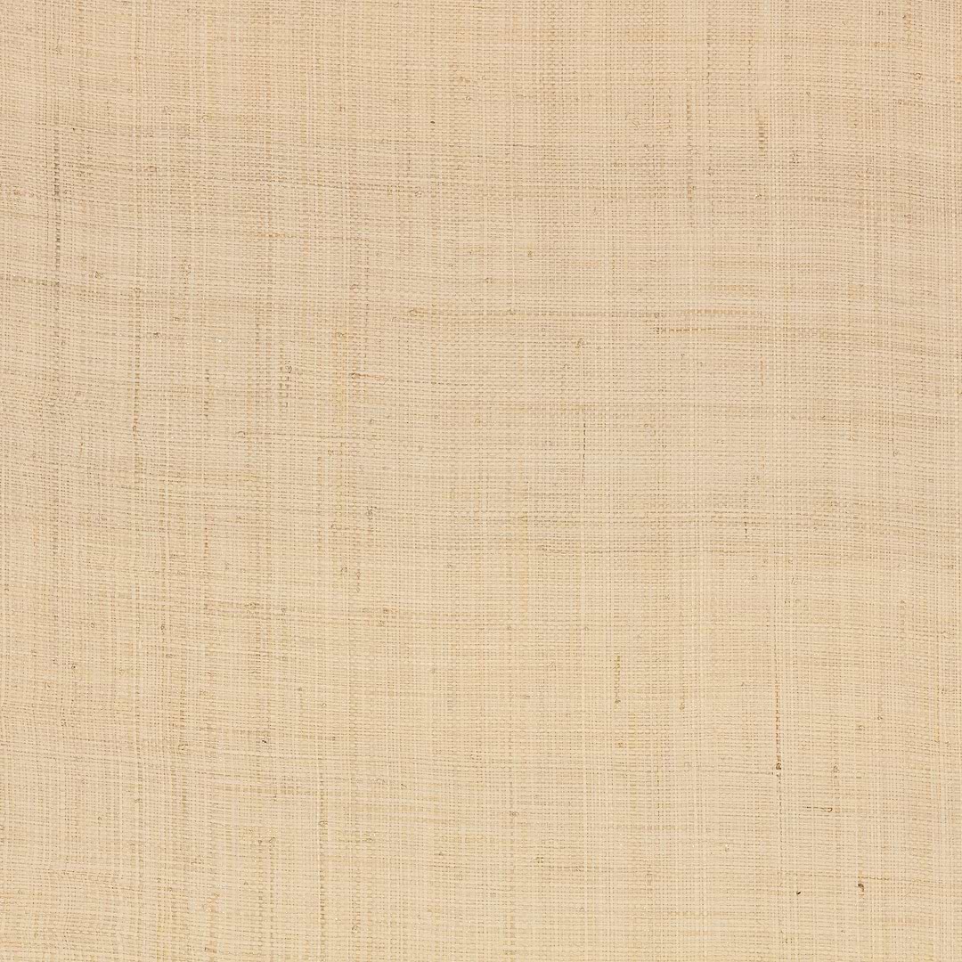 Palm behang