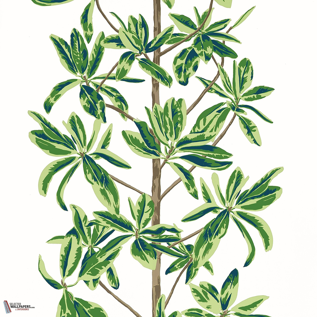 Mangrove tree behang-Thibaut-Green and white-Rol-Selected Wallpapers-Interiors