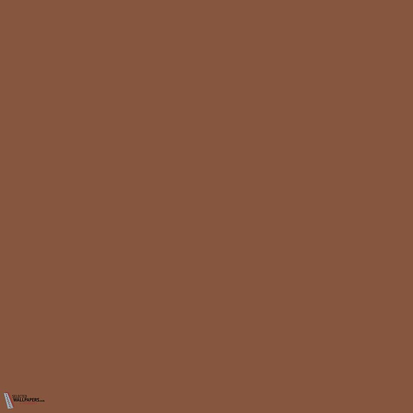Muscovado verf Little Greene 343-Selected-Wallpapers-Interiors