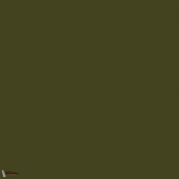 Olive Colour verf Little Greene 72-Selected-Wallpapers-Interiors
